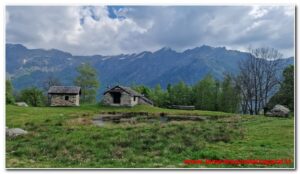 Scopri di più sull'articolo Valsesia – Alpe Argnaccia